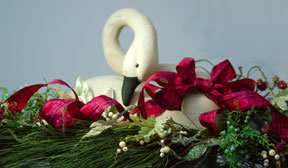 christmasindoorcat2010.jpg